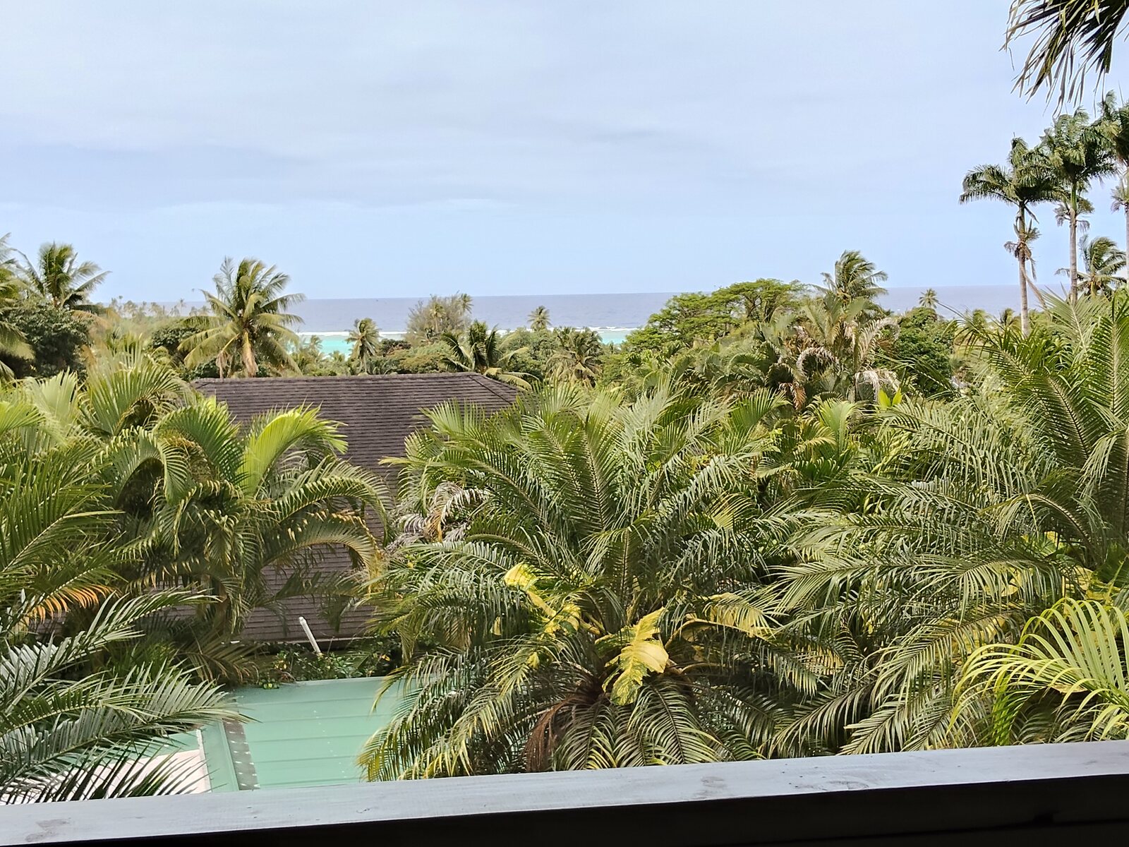Ocean view through the palms at Muri Retreat