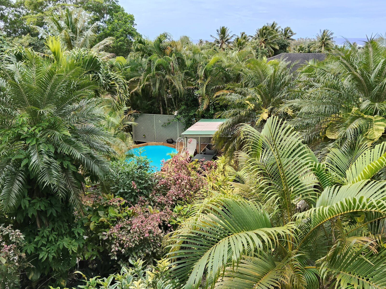 Tropical garden pool at Muri Retreat