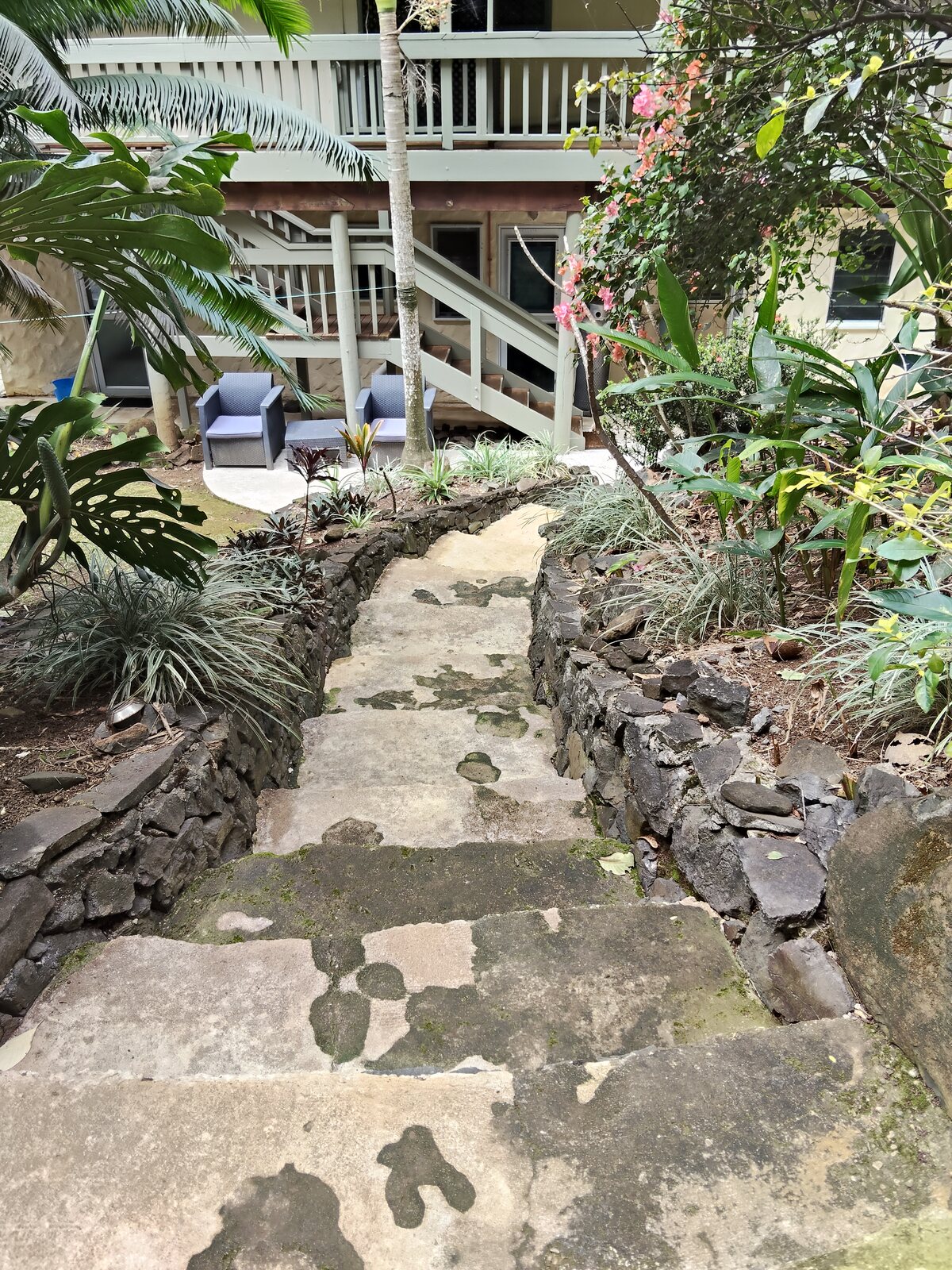 Garden path leading to the apartments