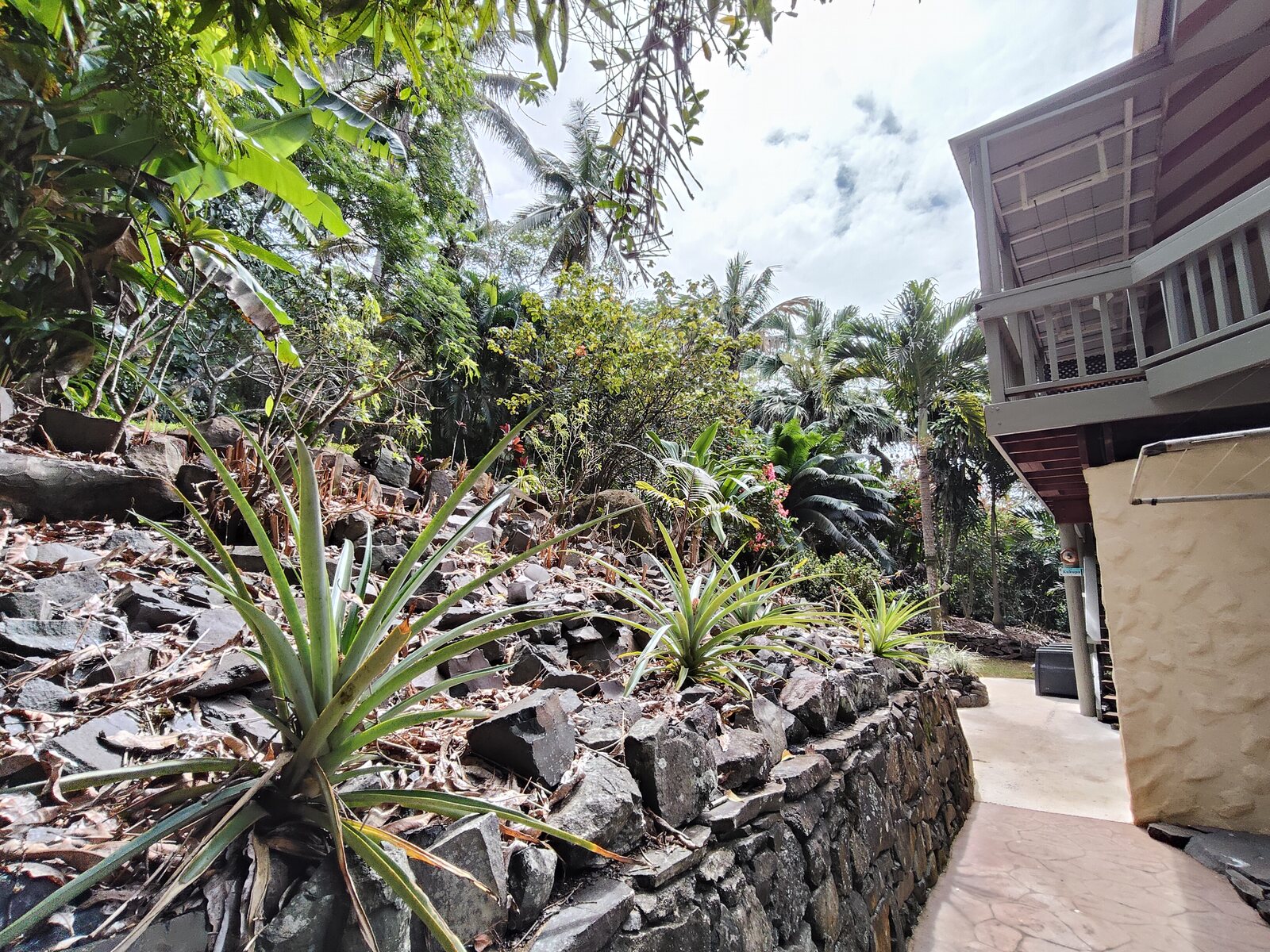 Tropical garden walkway beside the apartments