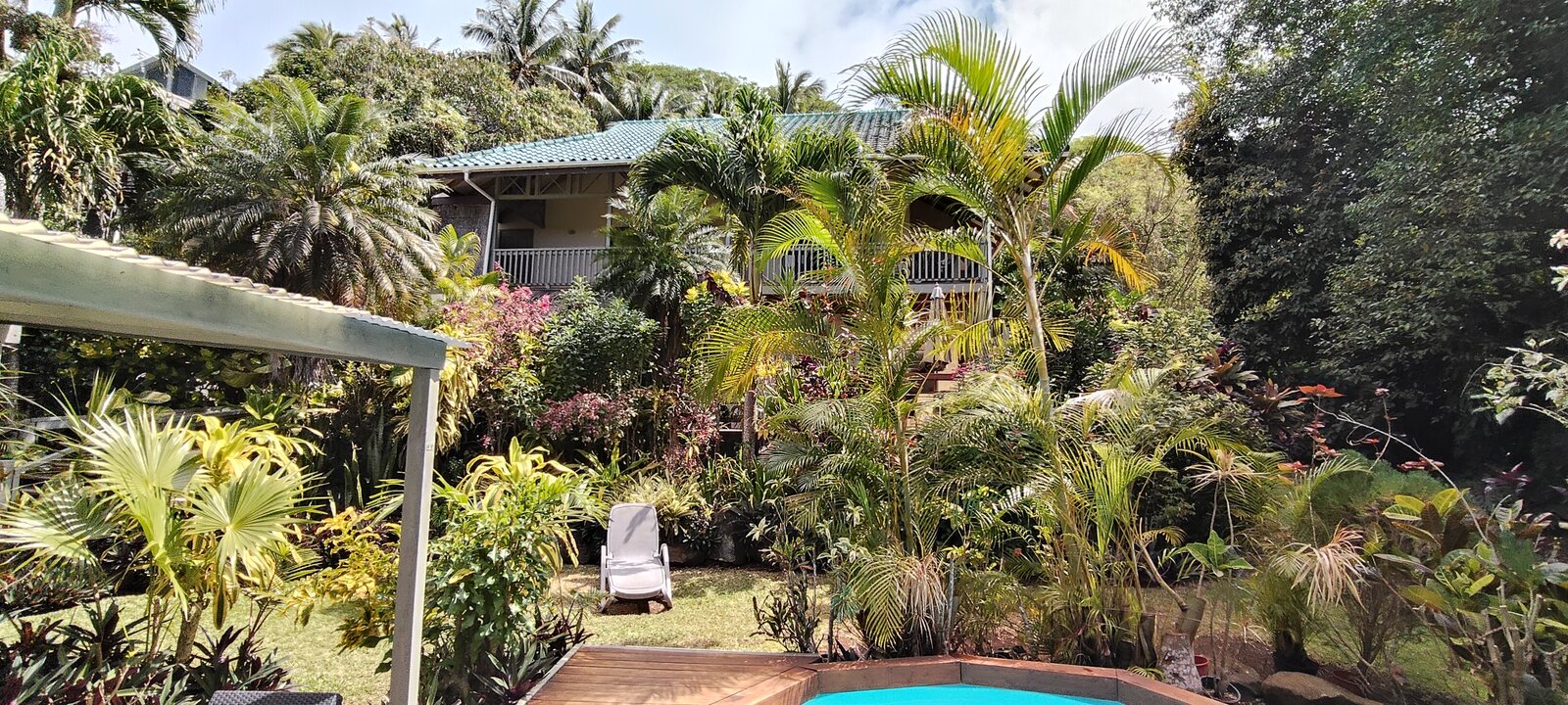 Tropical garden and pool view