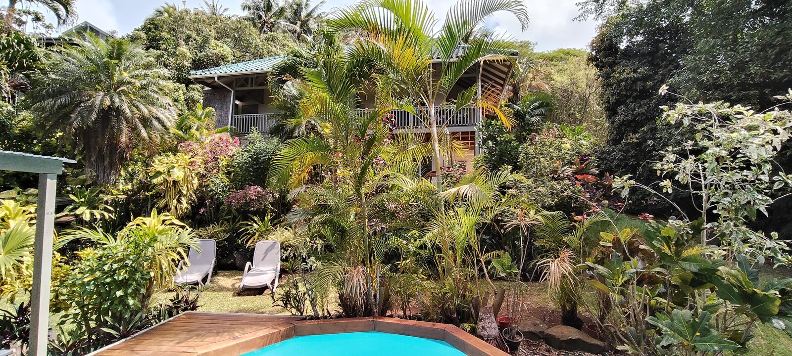 Pool surrounded by tropical gardens