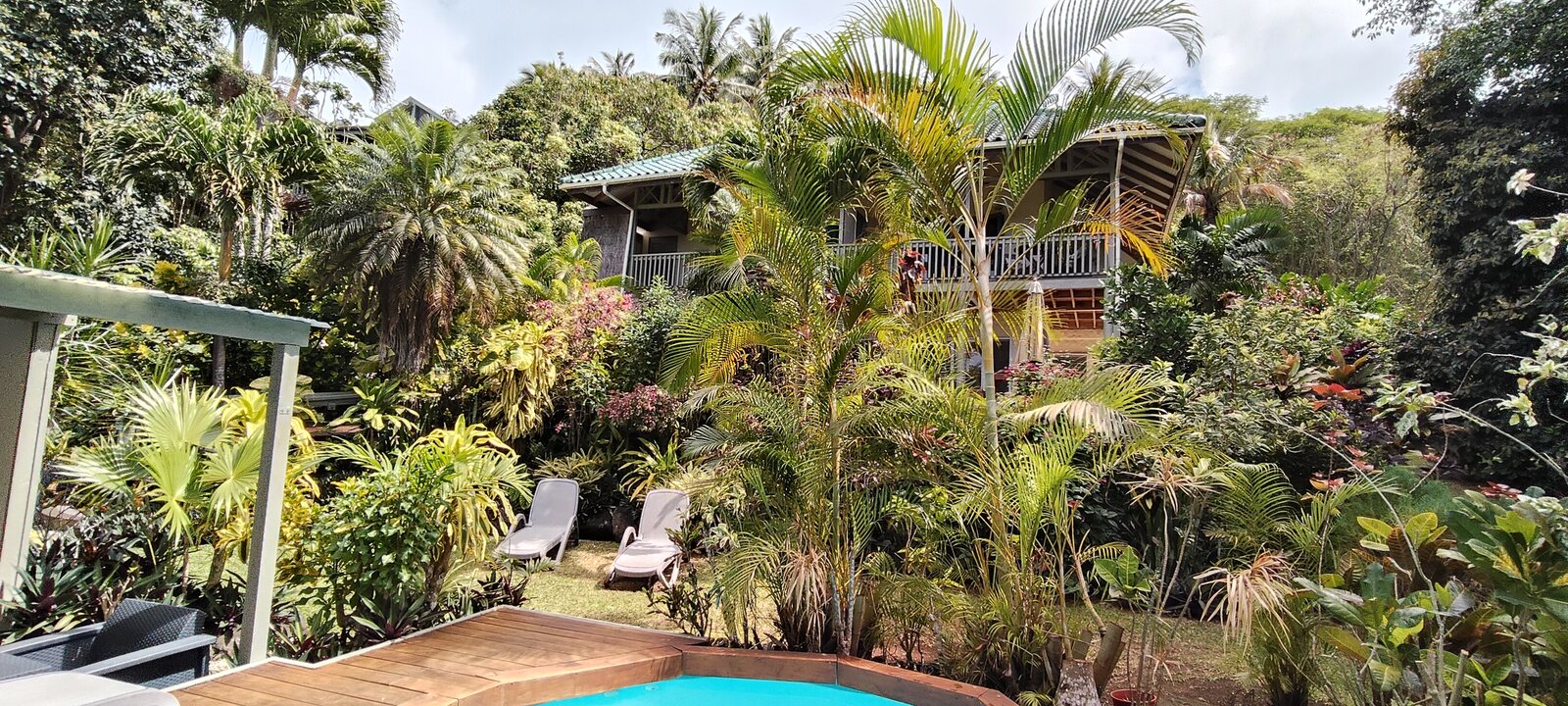 Tropical garden and pool view from the deck