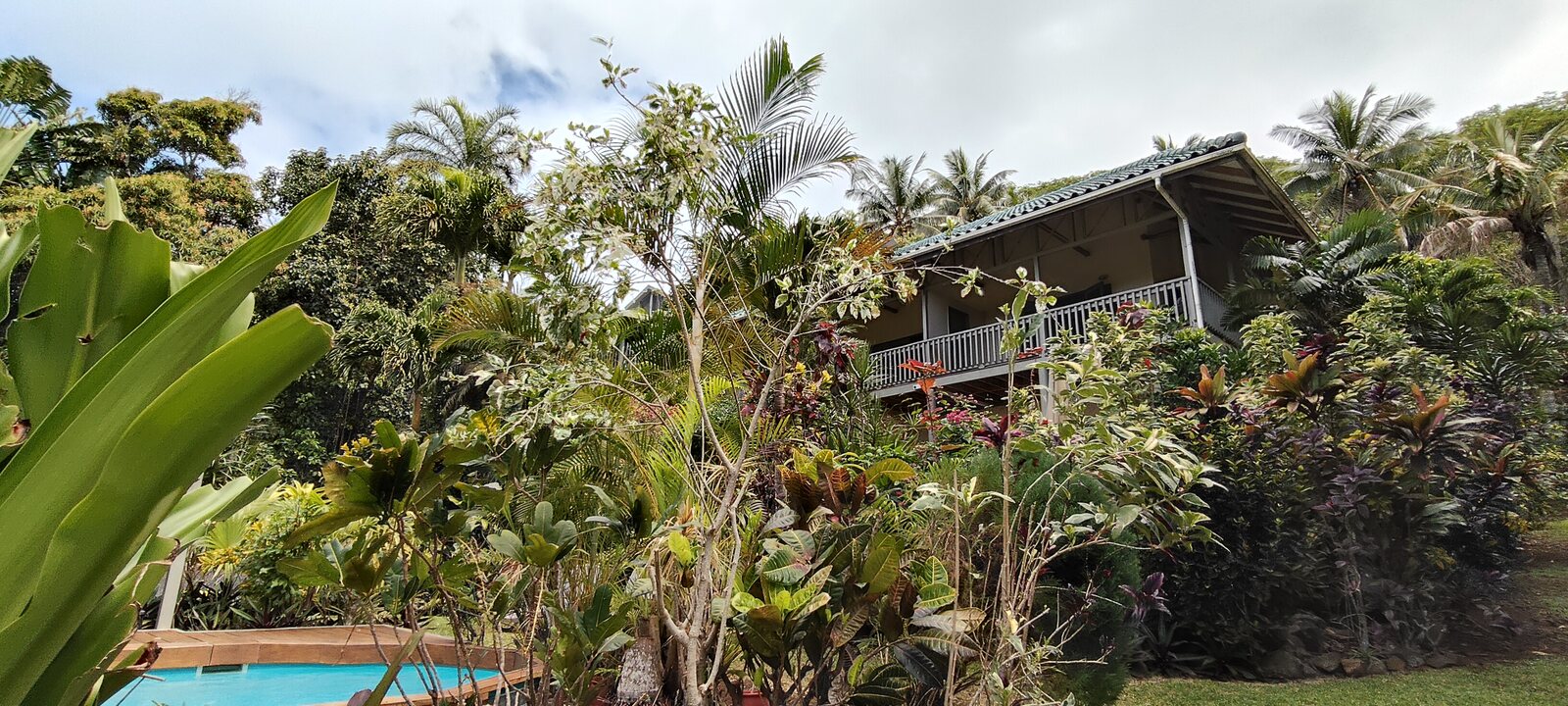 Muri Retreat garden and pool