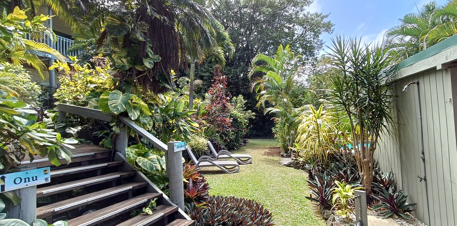 Garden path and poolside loungers