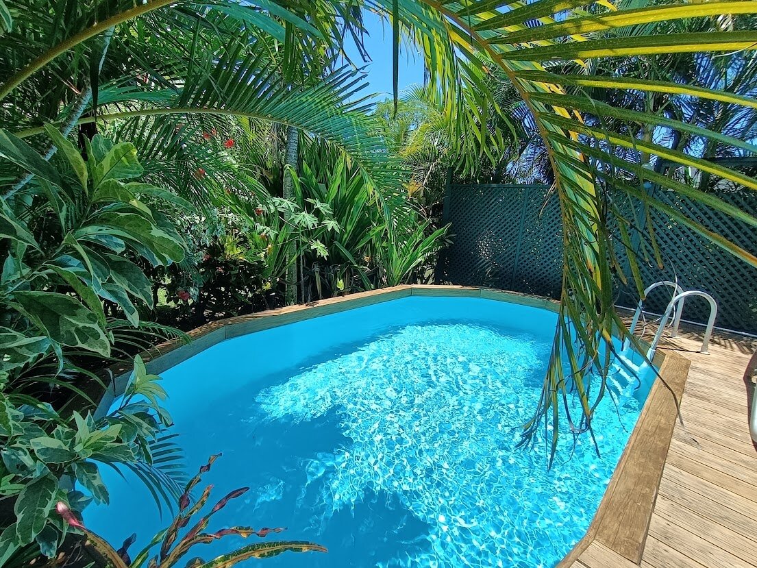 Salt-water pool surrounded by tropical palms and gardens