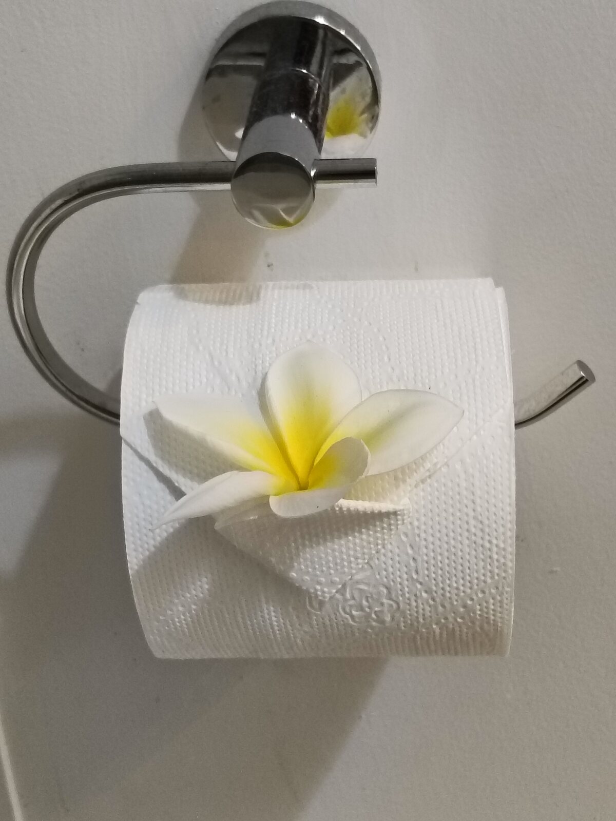 Plumeria flower on the bathroom towel holder in Kaute
