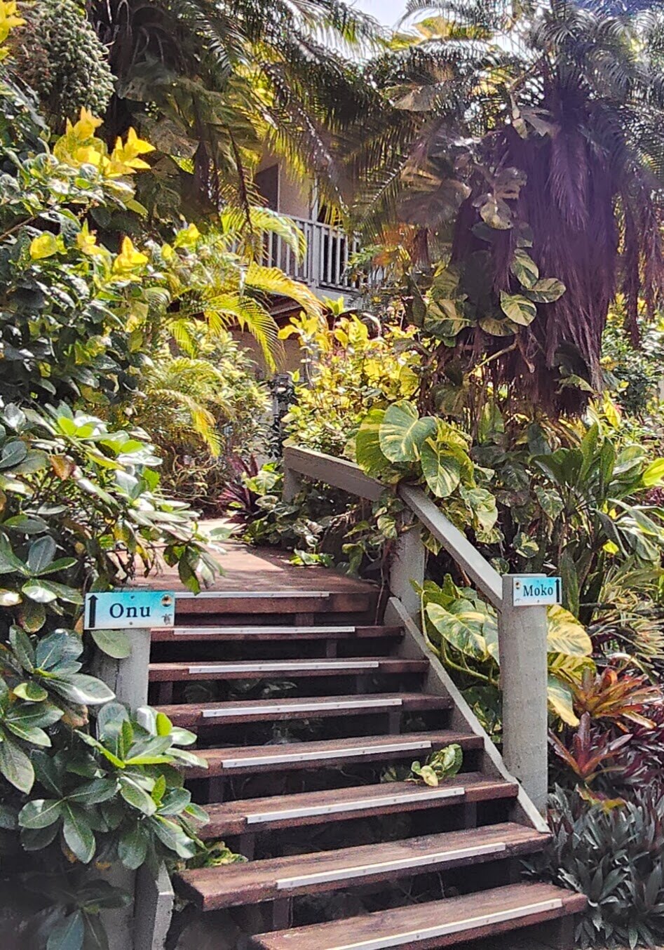 Tropical garden stairway at Muri Retreat