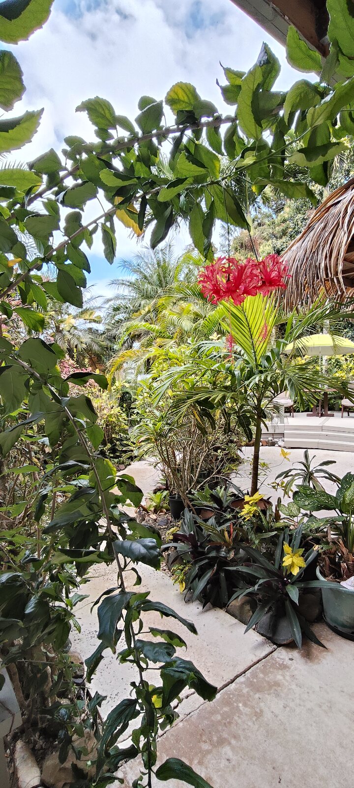 Studio l Ground Floor l ONU l Muri Retreat Apartments l Rarotonga