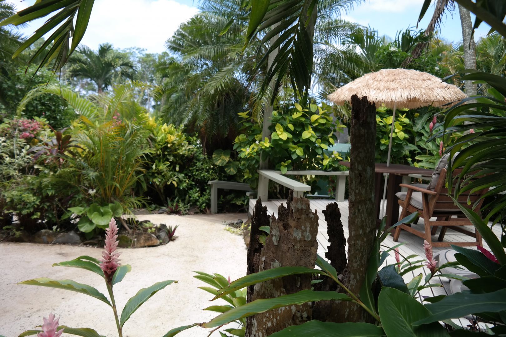 Lush tropical garden at Muri Retreat